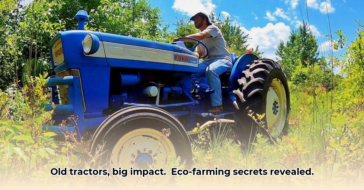 farming-with-old-tractors